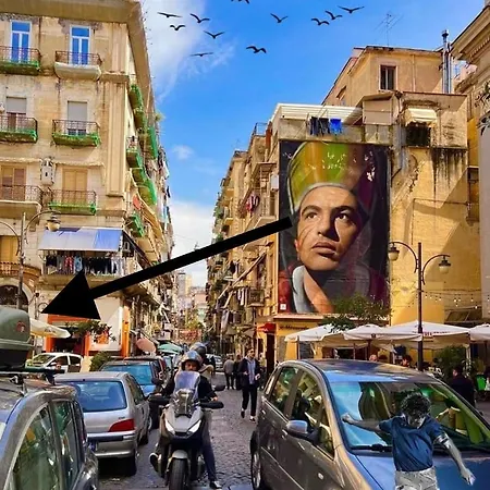 Casetta Zebra Gæstehus