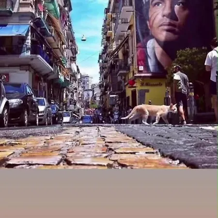 게스트하우스 Casetta Zebra 나폴리