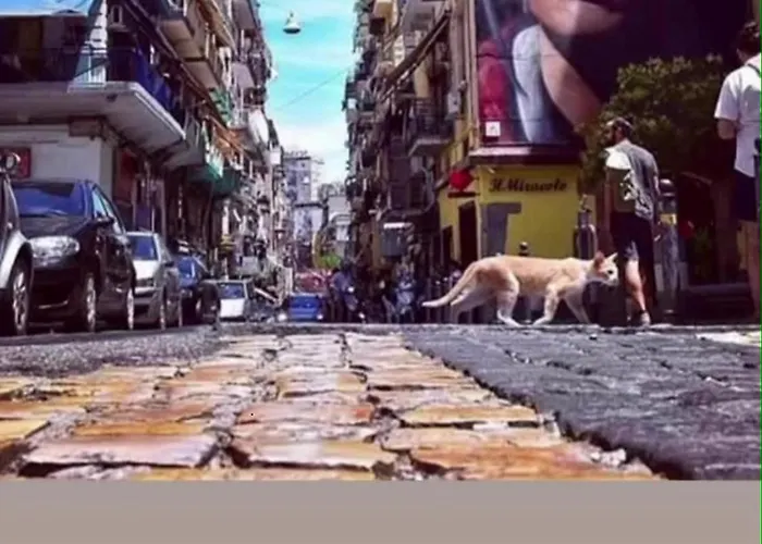 Pensionat Casetta Zebra Neapel